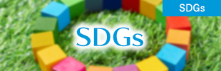 SDGs